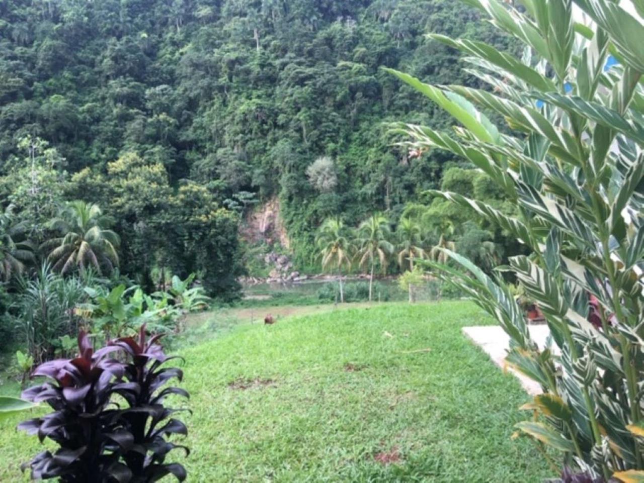 Casa De Campo Rio Arriba Arecibo Eksteriør billede